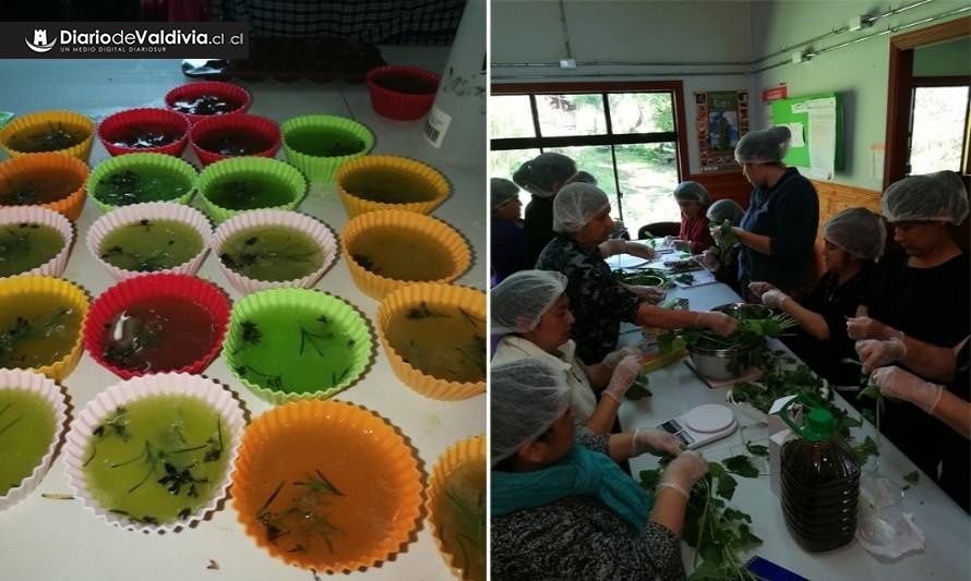 Servicio de Salud rehabilita a comunidades rurales de Punucapa (Valdivia) y Riñihue (Los Lagos)