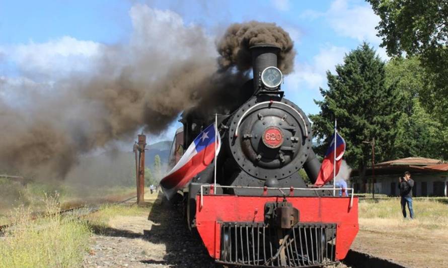 Conoce todas las actividades que Los Lagos tiene para ti este verano 2019