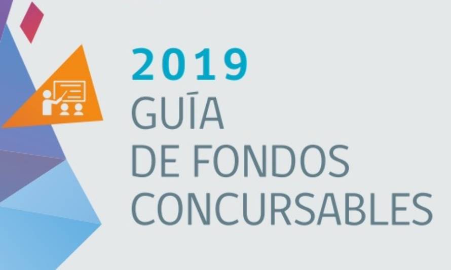 Gobierno presenta primera “Guía de Fondos Concursables” para dirigentes sociales 