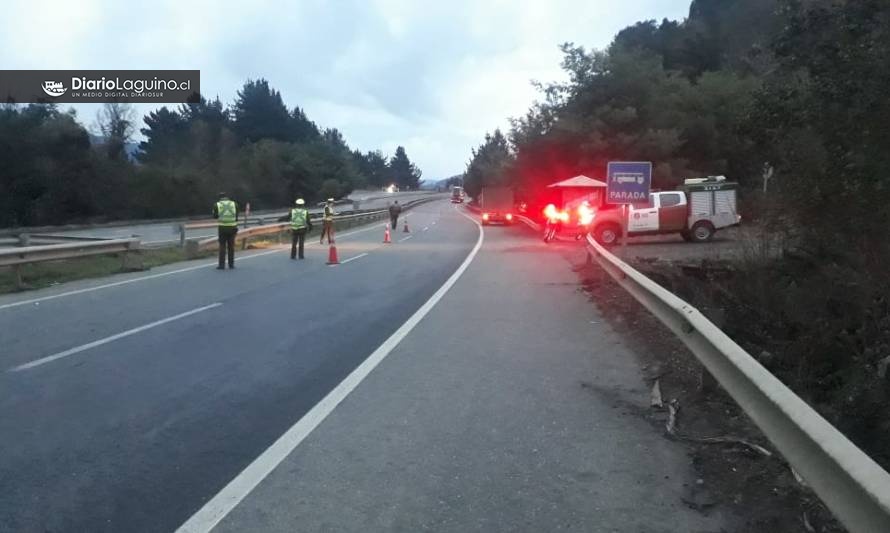 Falleció adulto mayor atropellado en Ruta 5 Sur