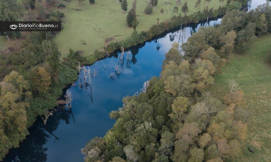 Statkraft se refirió a toma de terrenos de fundo en Río Bueno