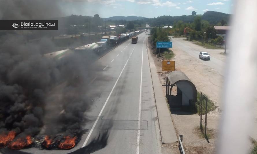 Manifestantes cortan Ruta 5 Sur en la comuna de Los Lagos