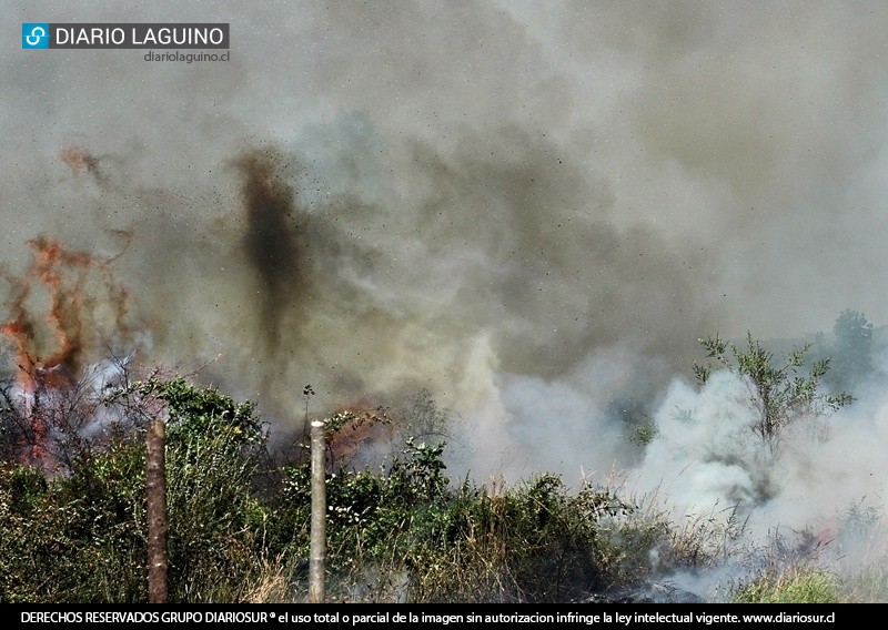 Ahora: Rebrote de incendio en sector El Cuatro