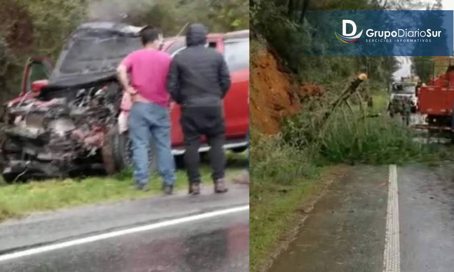 Reportan 2 accidentes y caída de árbol en la ruta Valdivia-Paillaco 
