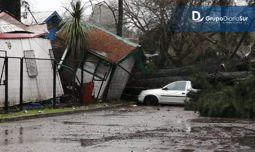 Caída de árboles destruyó sede deportiva y un vehículo en Valdivia