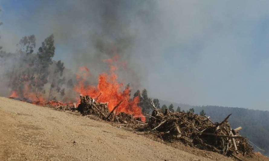 CONAF prohíbe quemas de desechos para prevenir incendios
