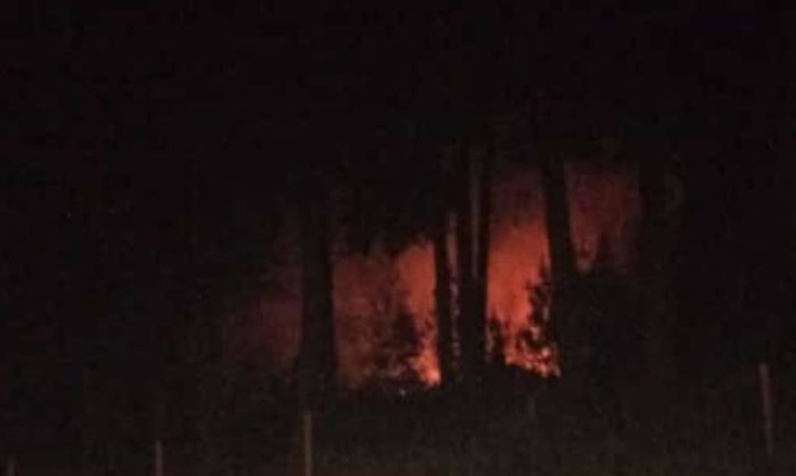 Quema de pastizales movilizó a bomberos en Los Lagos