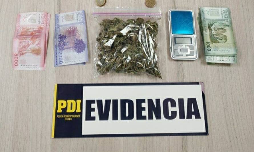 Nuevamente un joven valdiviano fue detenido por microtráfico de marihuana