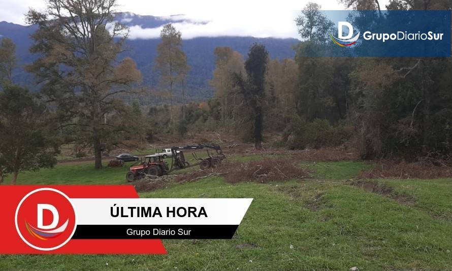 Trabajador forestal murió en zona cordillerana de Futrono 