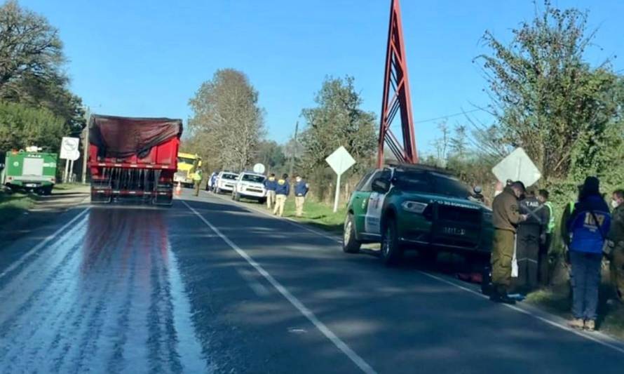 SIAT investiga atropello en ruta Los Lagos-Panguipulli