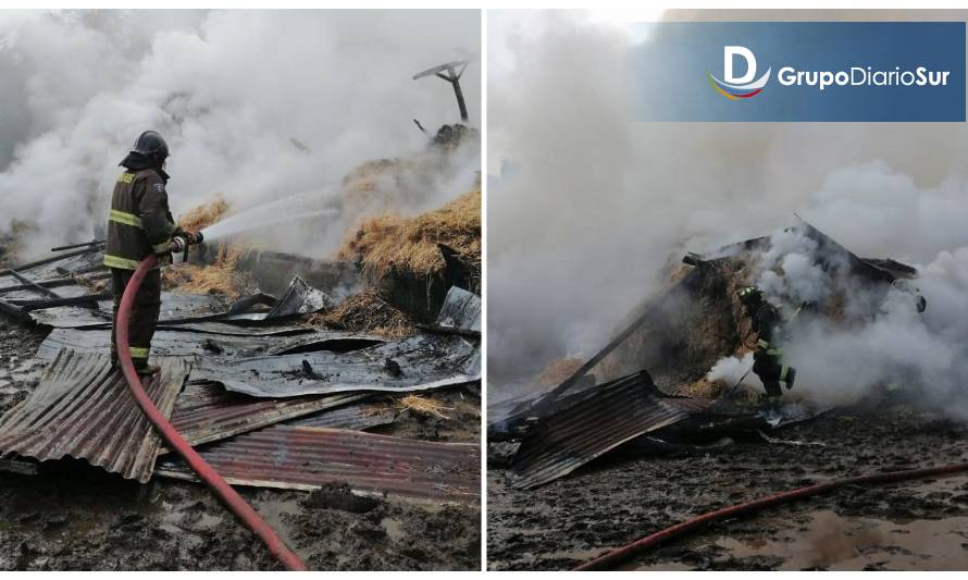 Galpón con fardos resultó destruido por incendio en Río Bueno