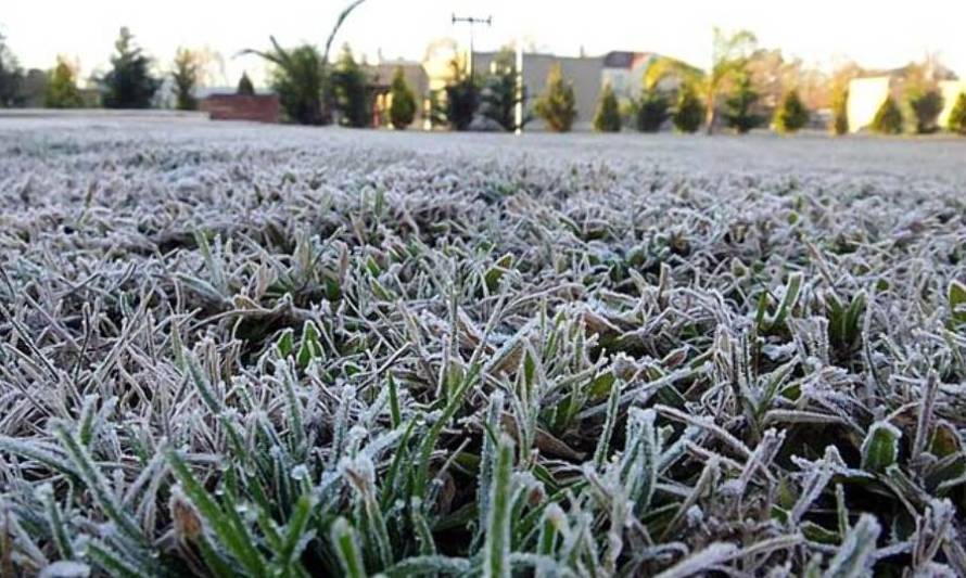 Brrrrr: Declaran Alerta Temprana Preventiva por heladas para Los Ríos 