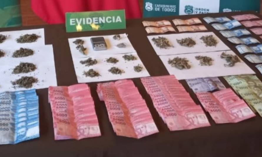 Operativo antidrogas en Panguipulli culminó con 2 detenidos 