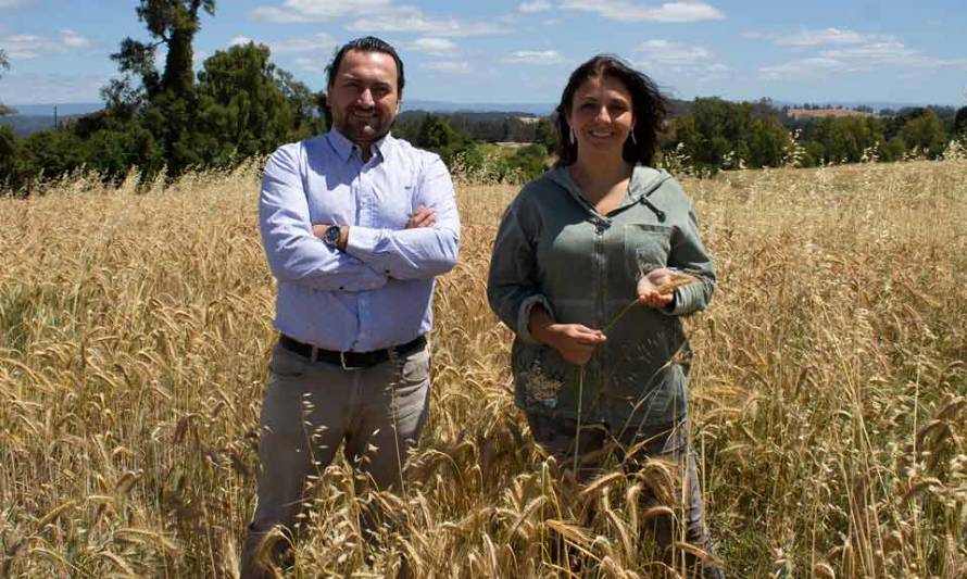 Osorninos participaron en inédita versión del Demo Day Todo Chile