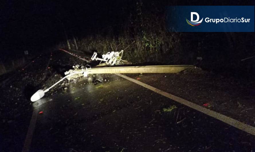 Vecinos alertan por poste y árbol caídos en ruta Angachilla - Valdivia