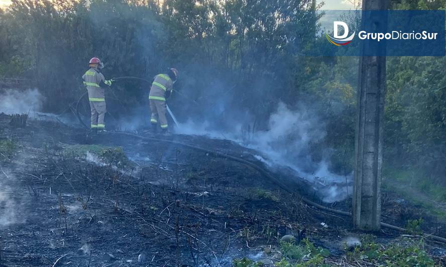 Incendio de pastizales en Los Lagos