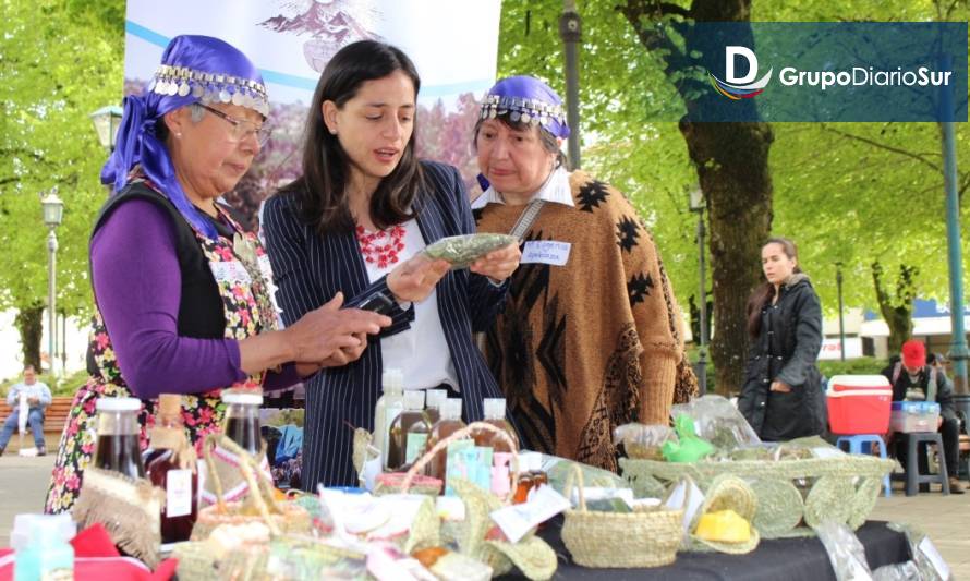 Últimos días de postulaciones a la ExpoFOSIS en Los Ríos