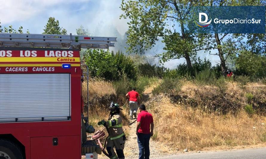 Alarma por incendio de pastizales en Los Lagos