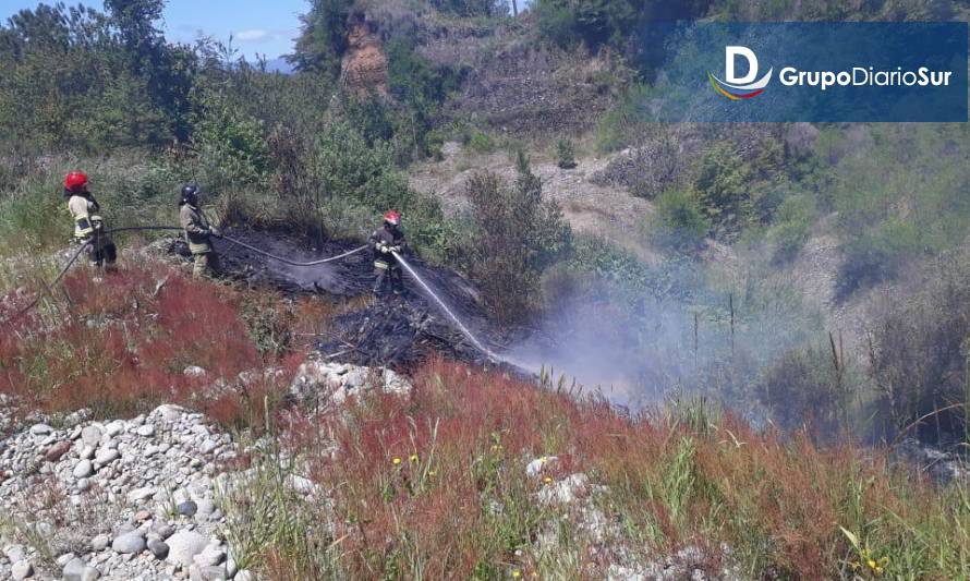 Bomberos de Los Lagos preocupados por aumento de incendios de pastizales