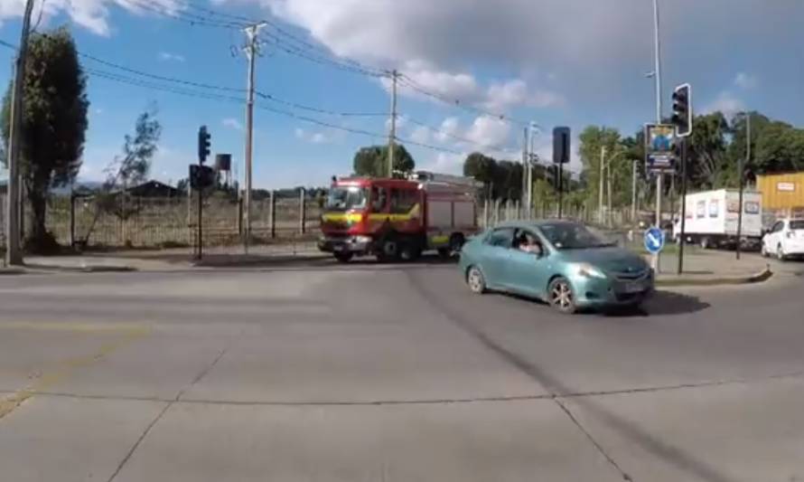 Bomberos y Conaf movilizados por incendio forestal en salida sur de Valdivia