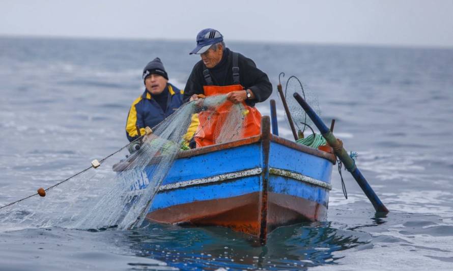 Diputado Berger destacó ley que permitirá a pescadores extraer remanentes del 2021