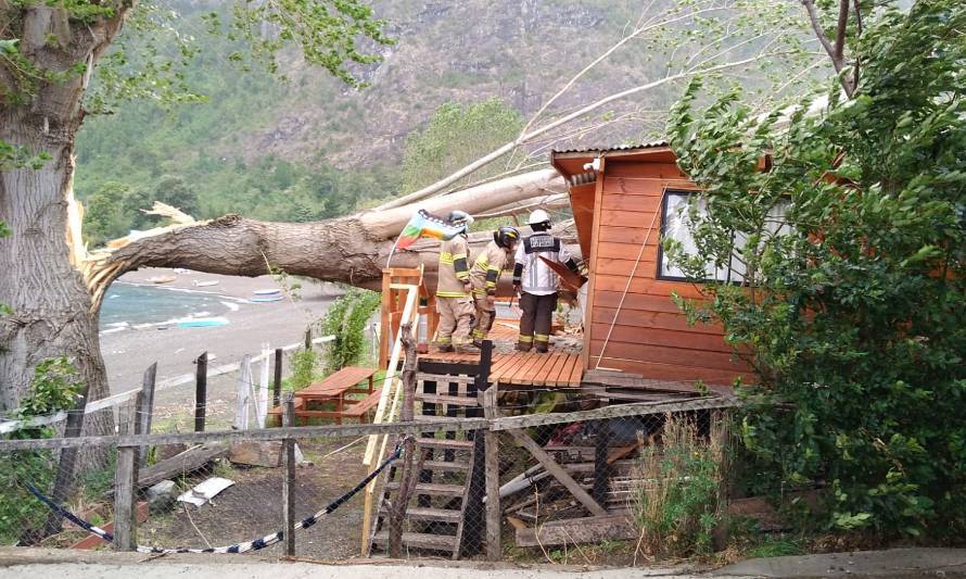 Caída de árbol destruyó techo de una casa en Huequecura, Futrono