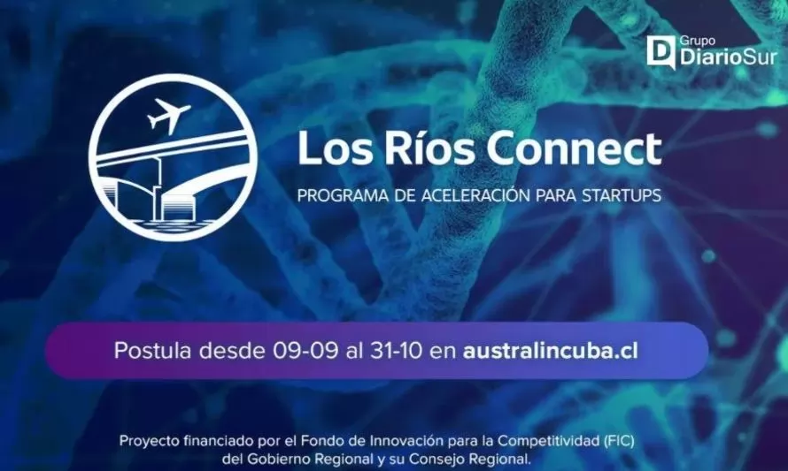 Los Ríos Connect fortalecerá a pymes para optar a pasantía en Estados Unidos