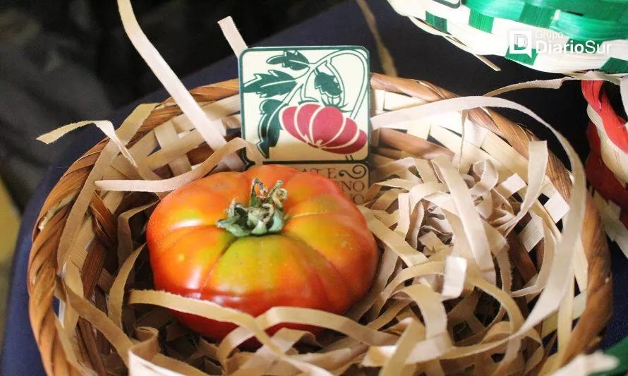 ¿Qué sabemos sobre los tomates del país? Tres investigadores profundizaron en la historia del producto local limachino
