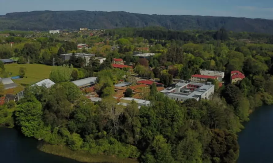 Excelente noticia: UACh entre las 4 universidades mejor evaluadas de Chile