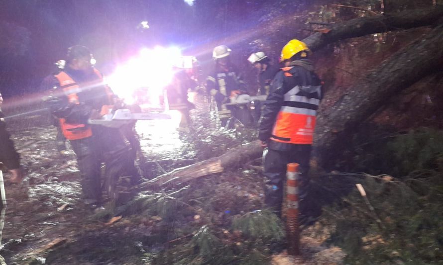 Suspensión de clases, caída de árboles y cortes de energía deja temporal en Los Ríos