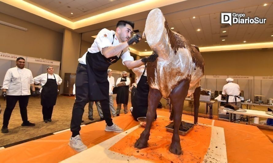 Así avanza la vaca de chocolate que busca récord mundial para Osorno
