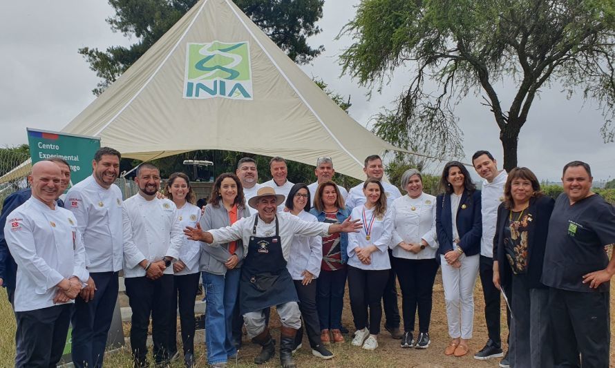 Destacados chefs realizan degustación de corderos raza INIA 