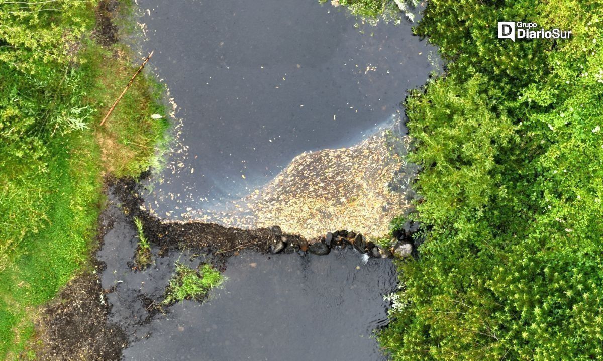 Fiscalizan posible contaminación en cauce de Río Bueno