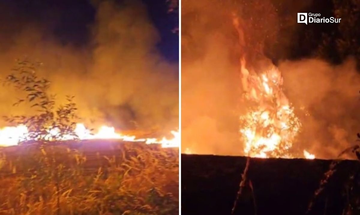 Bomberos acuden a incendio de pastizales en Reumén
