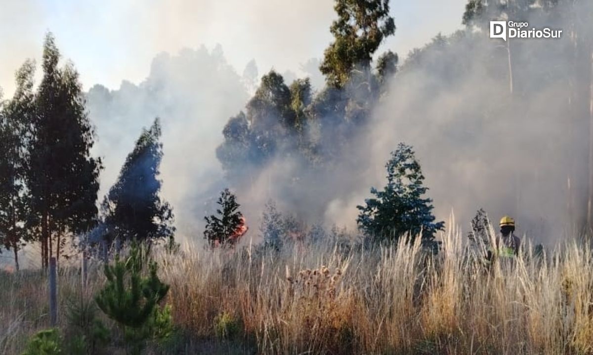 Los Lagos: Bomberos movilizados por fuego en pastizales en sector Folilco