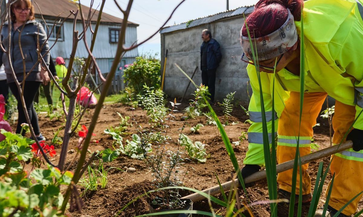 De microbasural a núcleo nativo: la iniciativa que limpia vecindarios valdivianos con plantas