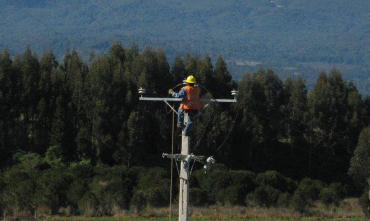 Socoepa informa corte programado en sector Colo Colo en Los Lagos