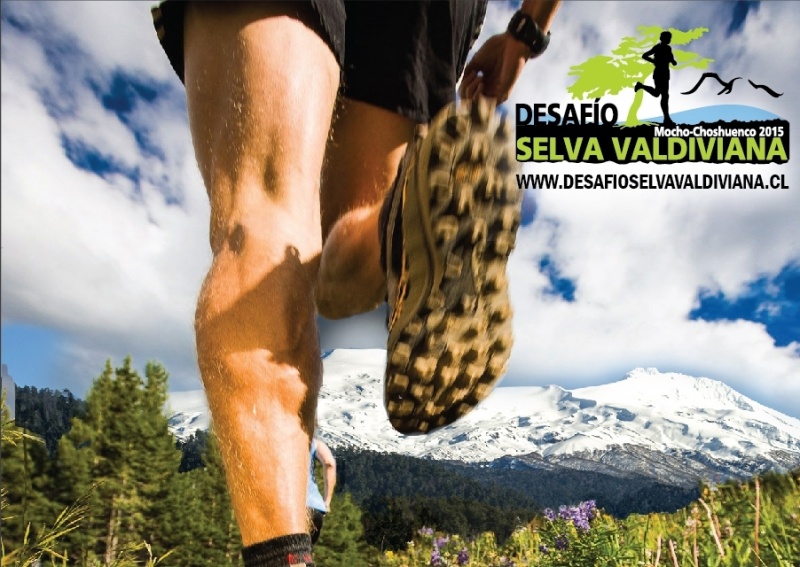 Trail running “Desafío Selva Valdiviana”: La competencia sustentable que se tomará la Reserva Nacional Mocho Choshuenco