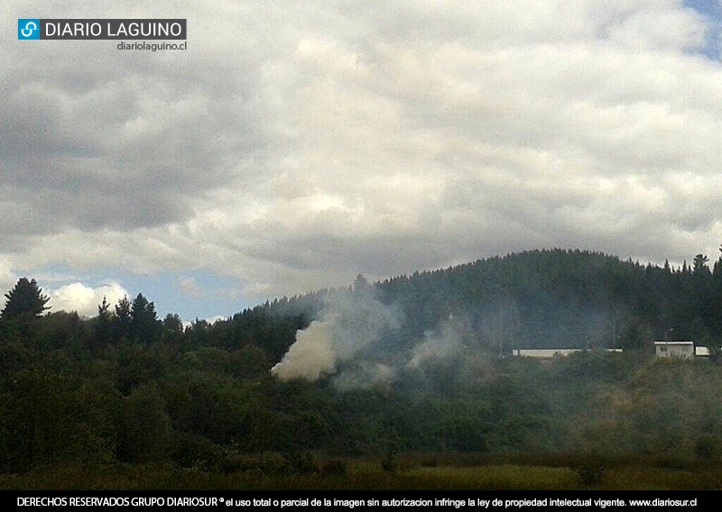 Dos llamados de pastizales han alertado a Bomberos de Los Lagos esta jornada