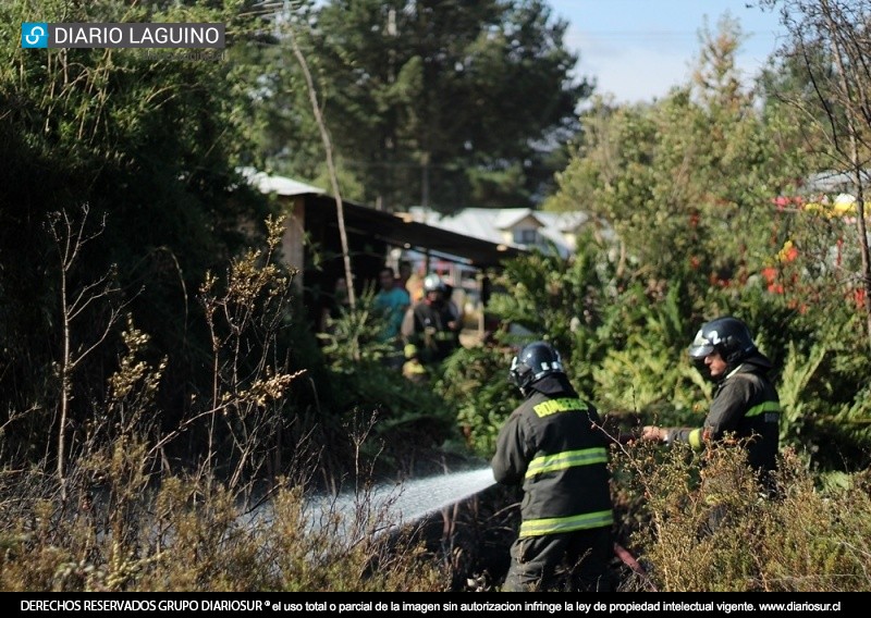 Bomberos de Los Lagos trabajó este sábado en dos focos del gran incendio forestal 