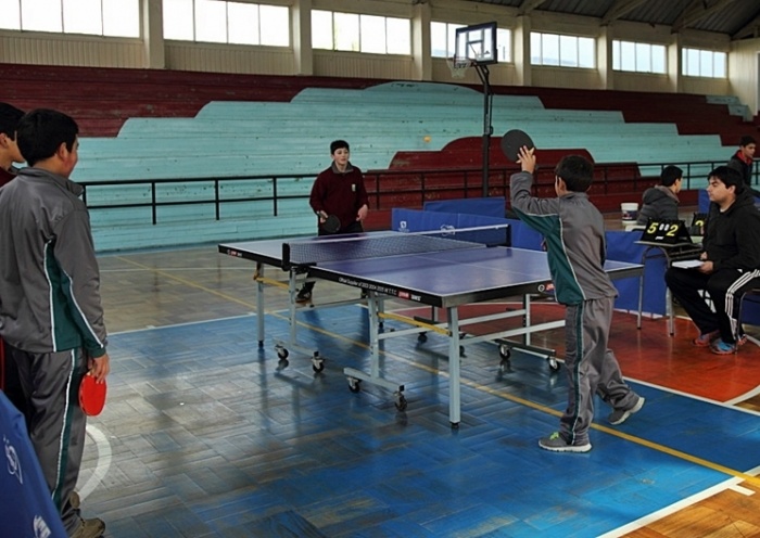 Jóvenes laguinos participaron de campeonato comunal de tenis de mesa