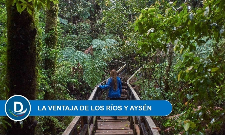 Expertos y los desafíos del turismo en Los Ríos: "la apuesta es el mercado nacional" 