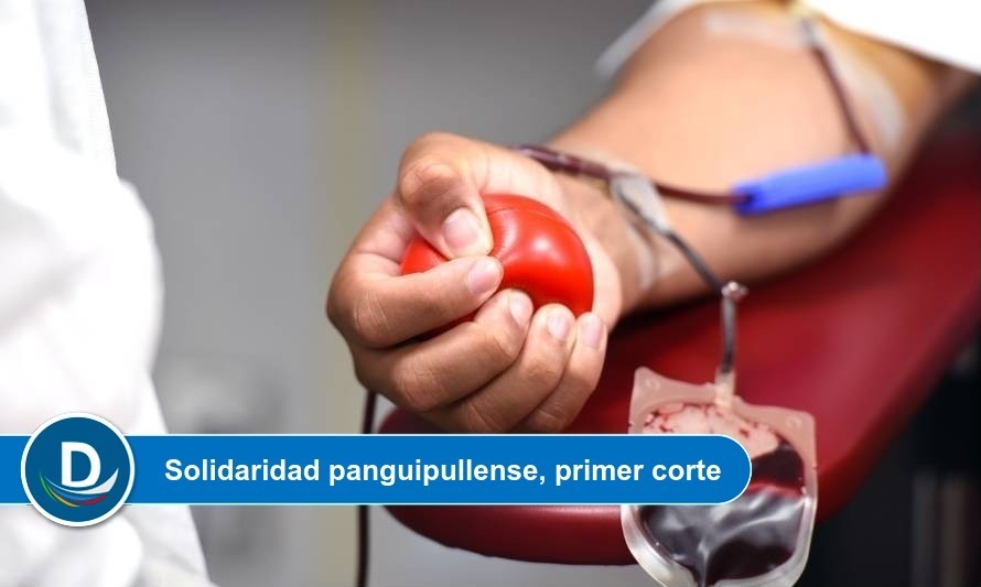 Vecinos de Panguipulli arrendaron bus para ir a Santiago a donar sangre