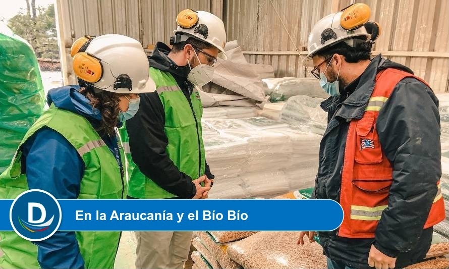 Seremi de Energía visitó plantas de pellet para verificar suministro en Los Ríos