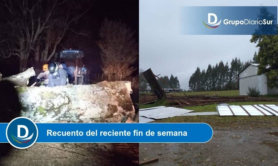 Vastos sectores de Los Lagos fueron afectados por cortes de luz y caída de árboles