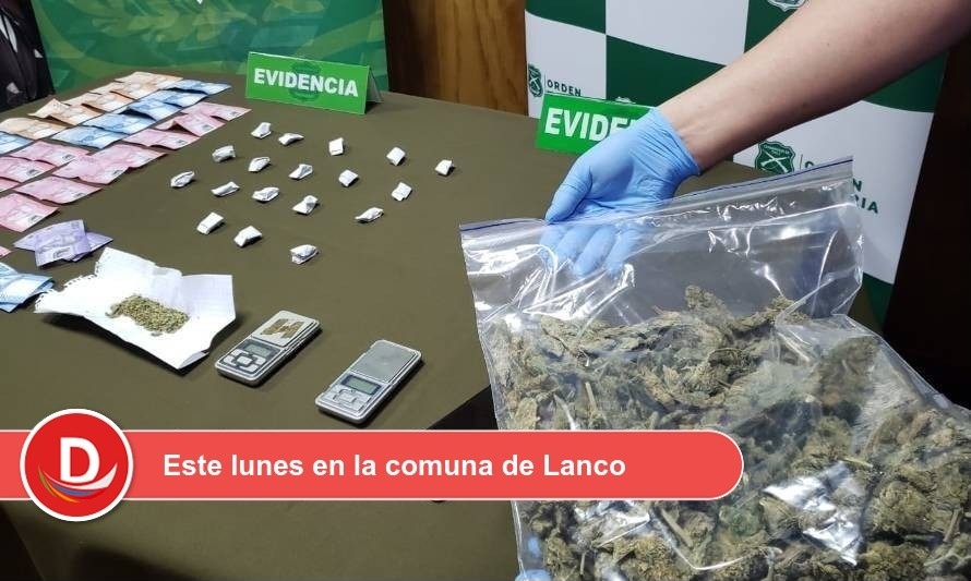 Sujeto fue detenido en Malalhue por microtráfico de marihuana 