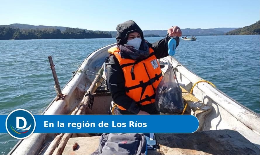 Vigilancia de marea roja descarta presencia de toxinas en mariscos