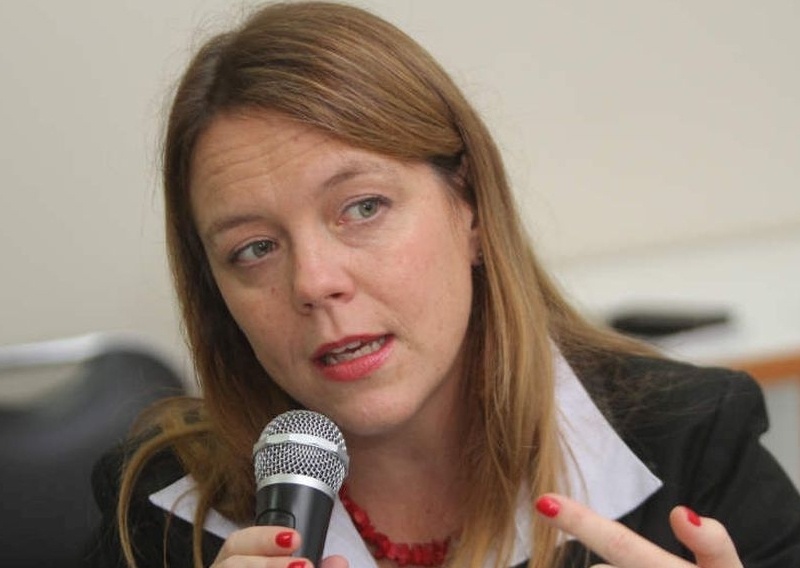 Senadora von  Baer  denunció atraso en la entrega de informe por fallas del  Cau Cau