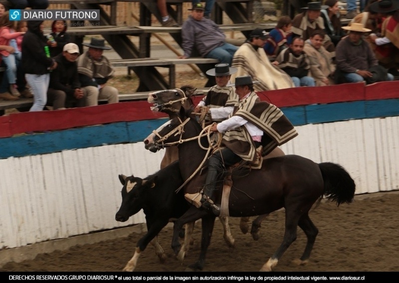 Futrono: Tamayo y Loaiza demostraron su calidad y ganaron el rodeo más importante de la temporada