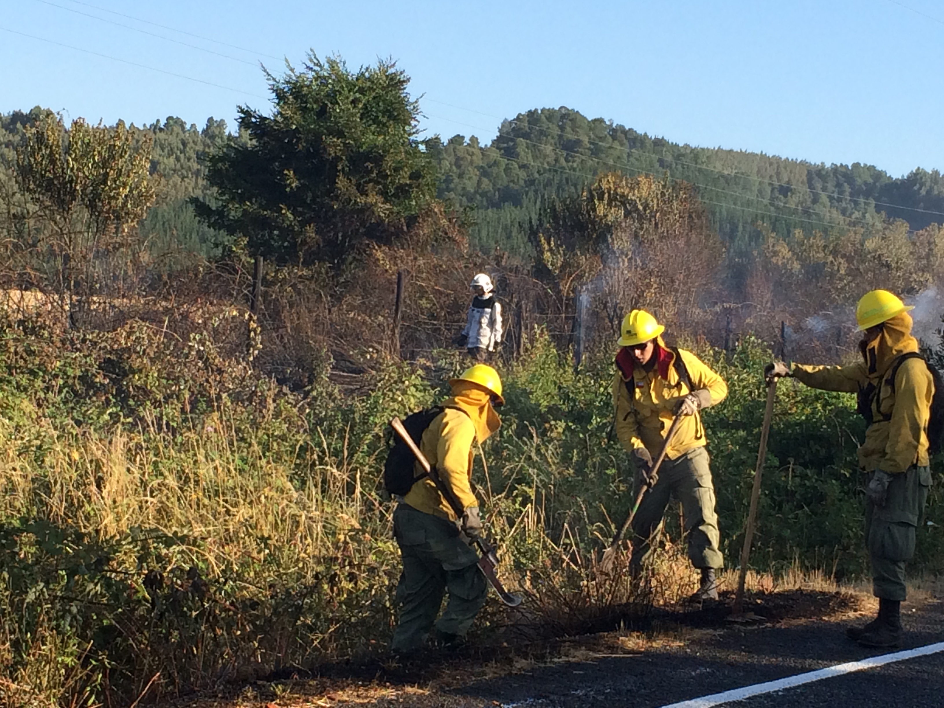 Controlan incendio de pastizales en Los Lagos